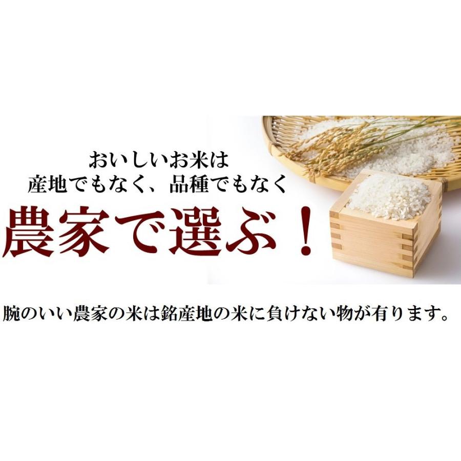 米 玄米 30kg 藤本勝彦さん ミルキークイーン 精米小分け無料 玄米/白米 選択可 令和5年兵庫県稲美町産 産地直送｜noukamai｜02