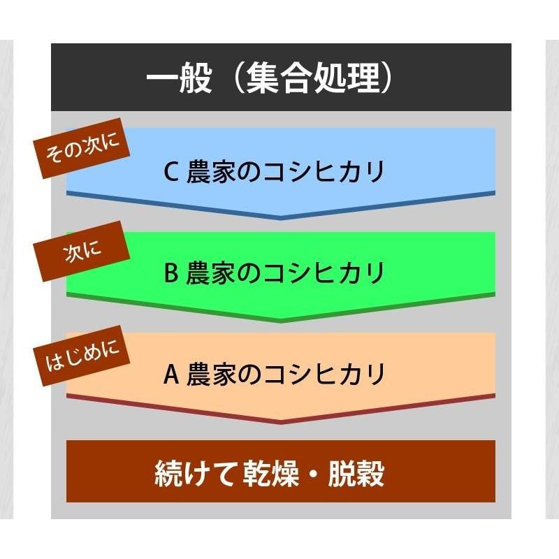 米 玄米 20kg 藤本勝彦さん きぬむすめ 玄米/白米・小分け選択可 令和5年兵庫県稲美町産 産地直送｜noukamai｜10