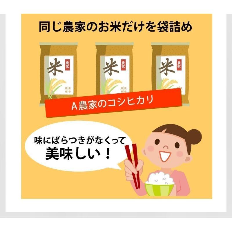 米 玄米 30kg ヒノヒカリ玄米/白米・小分け選択可 厳選農家 令和5年兵庫県産 産地直送｜noukamai｜12