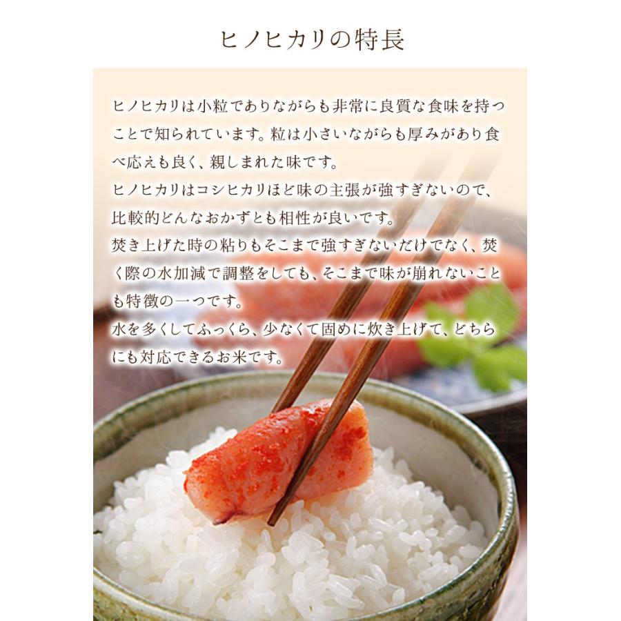 ヒノヒカリ 令和6年産 10kg 数量限定 送料無料】福岡県産 10kg ひのひかり 令和6年産