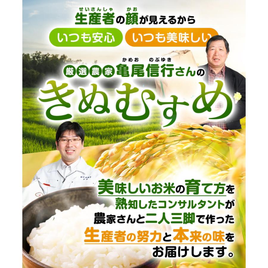 米 玄米 20kg 亀尾信行さん きぬむすめ 玄米/白米・小分け選択可 令和7 