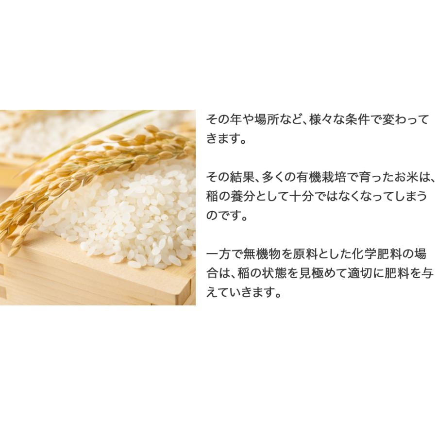 米 玄米 30kg 亀尾信行さん きぬむすめ 玄米/白米・小分け選択可 米 玄米 30kg 亀尾信行さん きぬむすめ 玄米/白米・小分け選択可