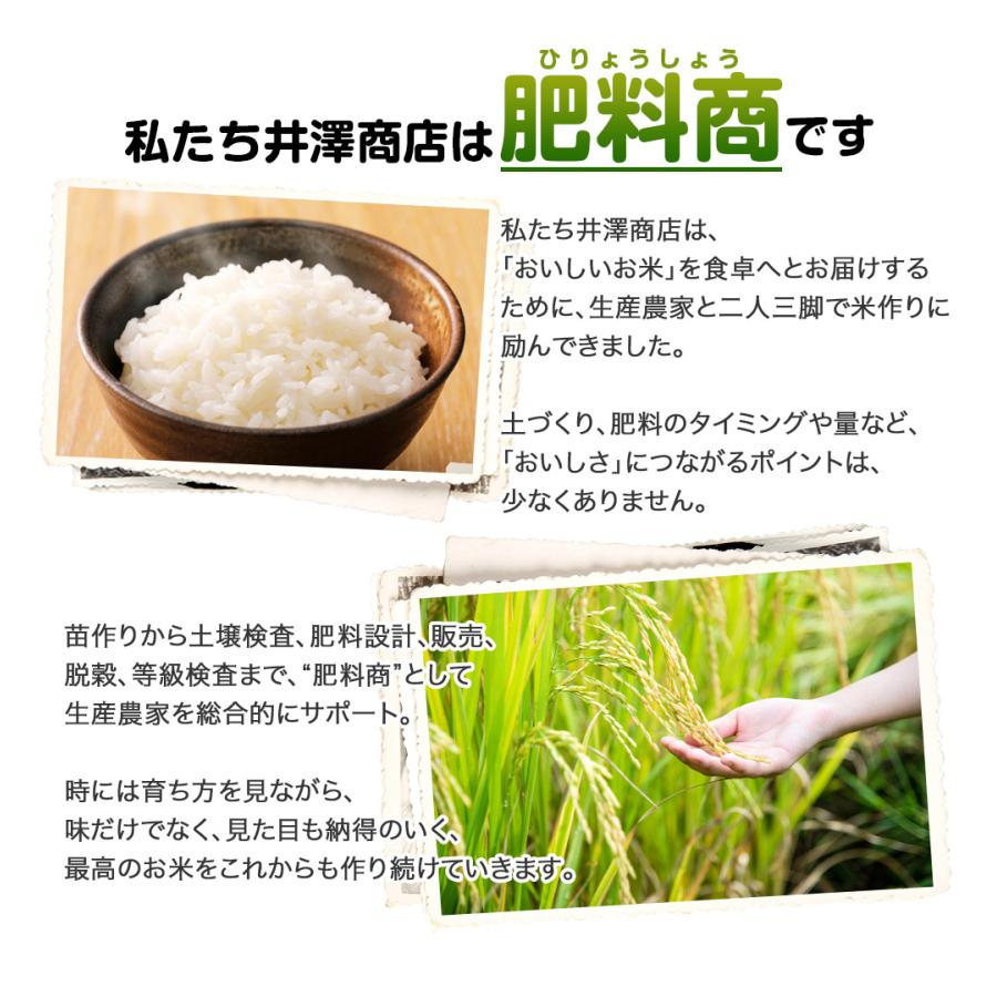 米 玄米 30kg 亀尾信行さん きぬむすめ 玄米/白米・小分け選択可 米 玄米 30kg 亀尾信行さん きぬむすめ 玄米/白米・小分け選択可
