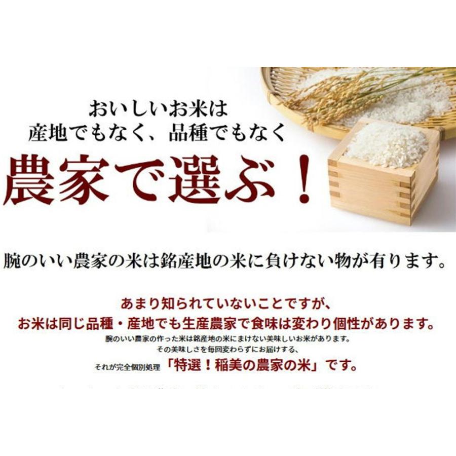 米 玄米 30kg キヌヒカリ 玄米 白米 選択可 厳選農家 令和5年兵庫県産 産地直送｜noukamai｜02