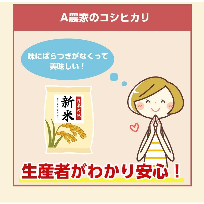 キヌヒカリ 【集荷不足の為令和6年産販売無し】新米 米 玄米 キヌヒカリ 【集荷不足の為令和6年産販売無し】新米 米 玄米
