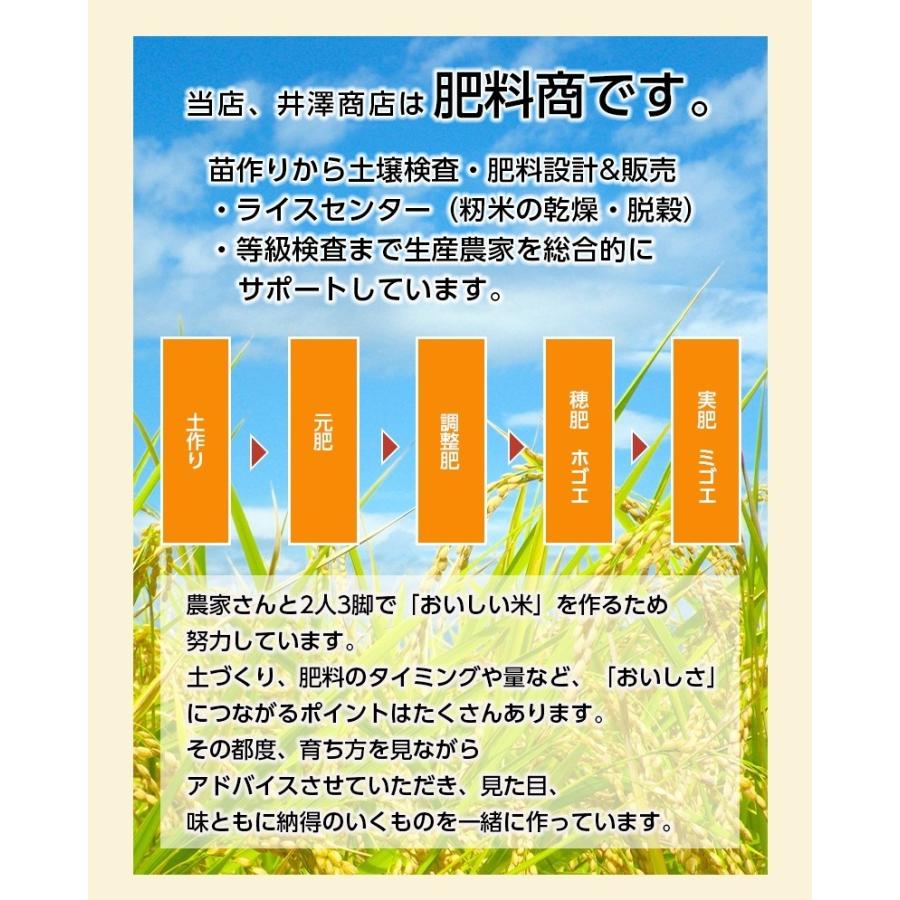 米 玄米 30kg コシヒカリ 厳選農家 玄米/白米 選択可 令和5年兵庫県産 産地直送｜noukamai｜04