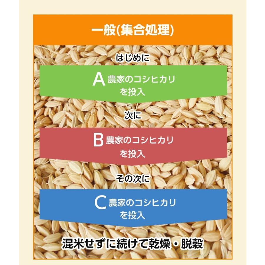 コシヒカリ 米 玄米 30kg 厳選農家 玄米/白米 選択可 令和6年 コシヒカリ 米 玄米 30kg 厳選農家 玄米/白米 選択可 令和6年
