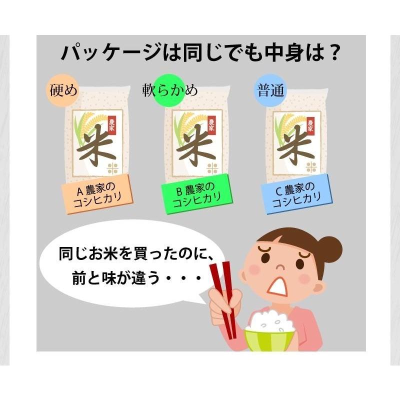 米 玄米 20kg きぬむすめ 厳選農家 玄米/白米・小分け選択可 令和5年兵庫県産 産地直送｜noukamai｜10