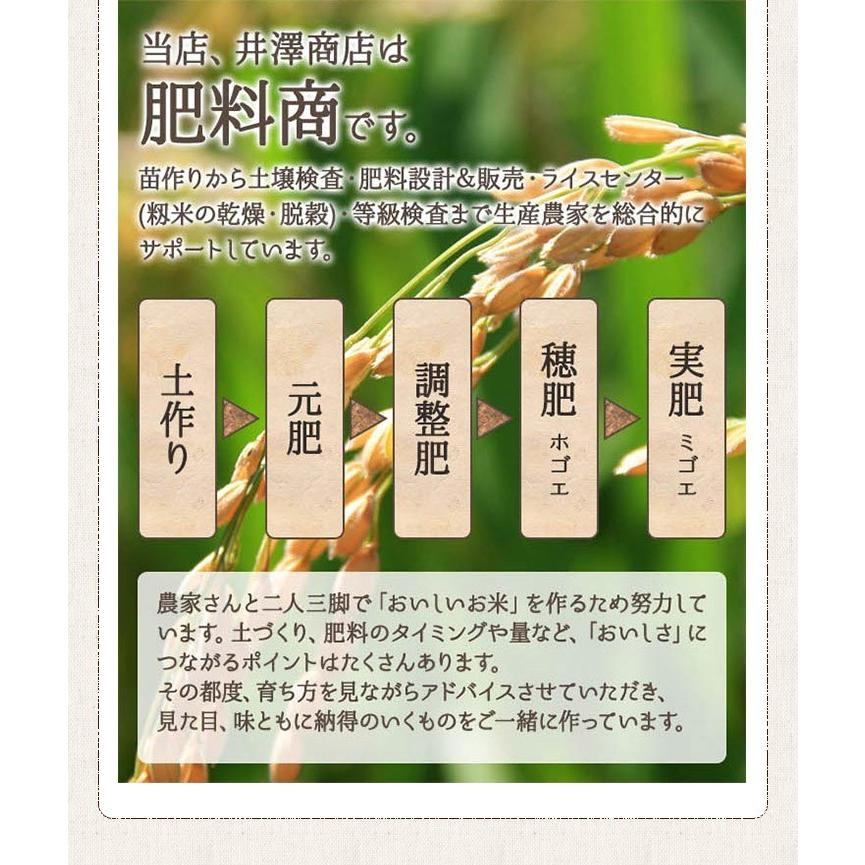 米 玄米 30kg きぬむすめ 厳選農家 玄米/白米・小分け選択可 令和5年兵庫県産 産地直送｜noukamai｜04