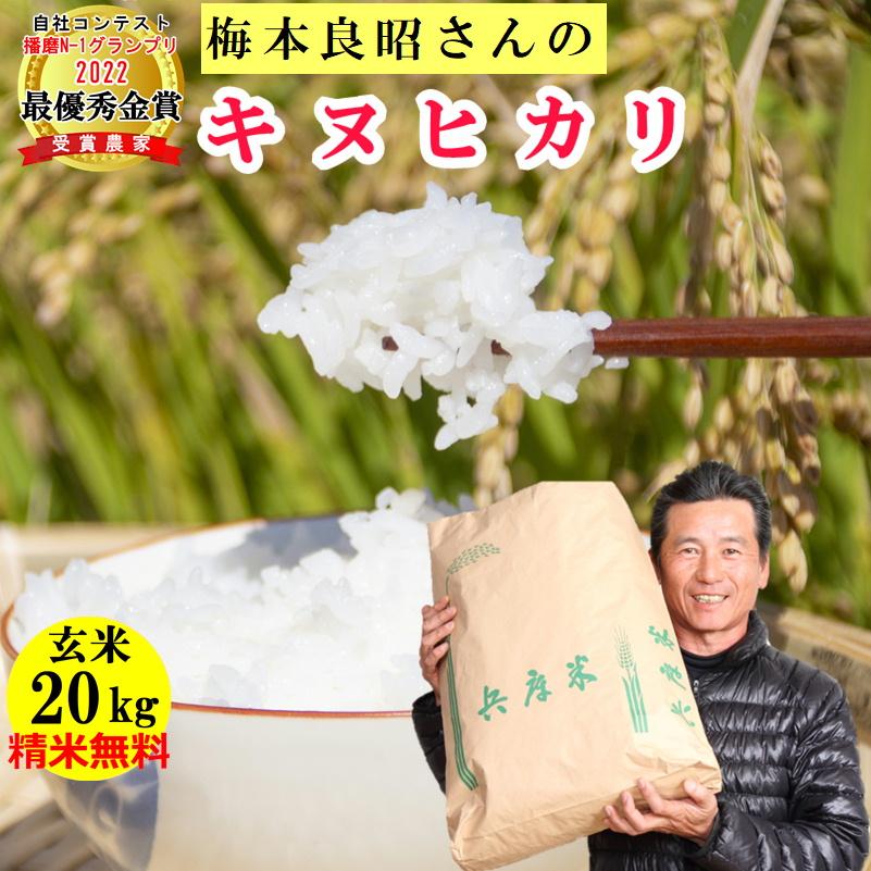 【兵庫県産　玄米】20キロ　キヌヒカリ キヌヒカリ 米 玄米 20kg 梅本良昭さん 玄米/白米け選択可 令和7年兵庫