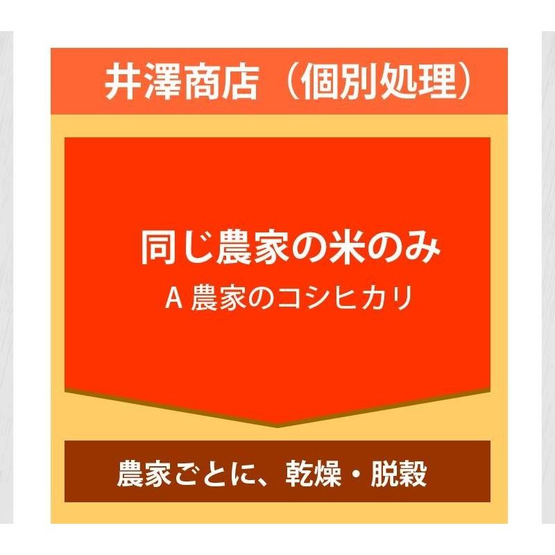キヌヒカリ 米 玄米 20kg 梅本良昭さん 玄米/白米け選択可 令和7年兵庫