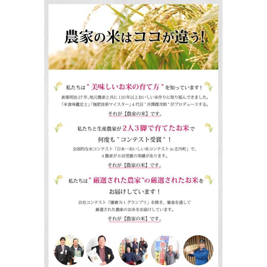 キヌヒカリ 米 玄米 20kg 梅本良昭さん 玄米/白米け選択可 令和7年兵庫