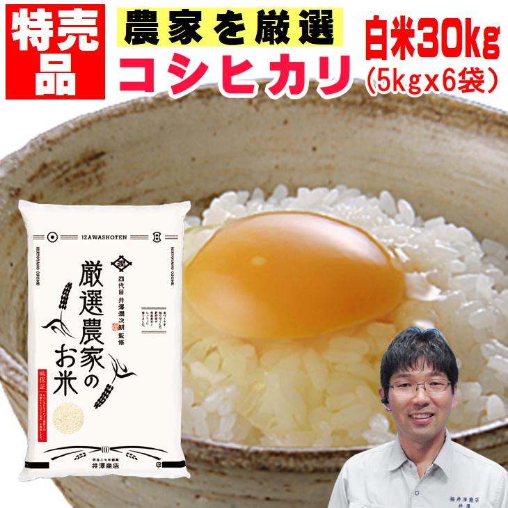 コシヒカリ 特売品 白米 30kg 5kgx6袋 業務用 厳選農家 令和6年 コシヒカリ 特売品 白米 30kg 5kgx6袋 業務用 厳選農家 令和6年