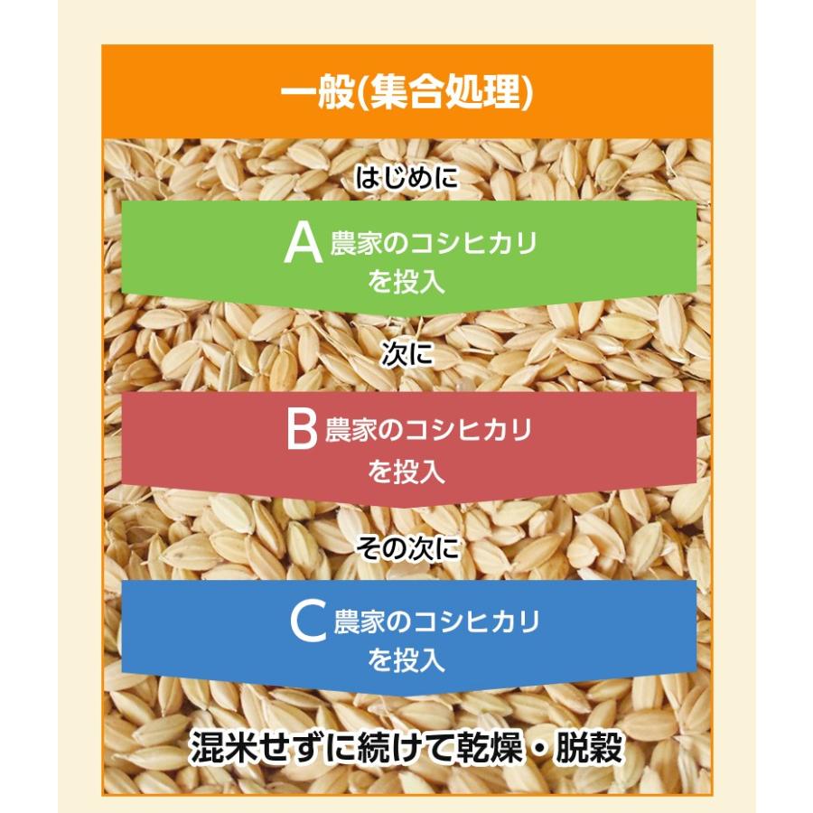 コシヒカリ 特売品 白米30kg 5kgx6袋 業務用 厳選農家 令和7年