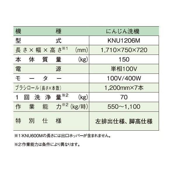 野菜洗い機 YK-20型 國光式 88112-7-