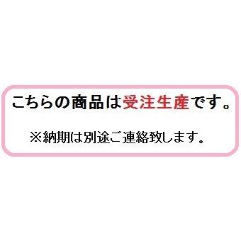 共立　マダーボール・小玉西瓜洗磨機　KN-MAD305B　すいか/スイカ/西瓜/小玉/マダーボール/磨き機/磨機/磨き｜noukigu｜04