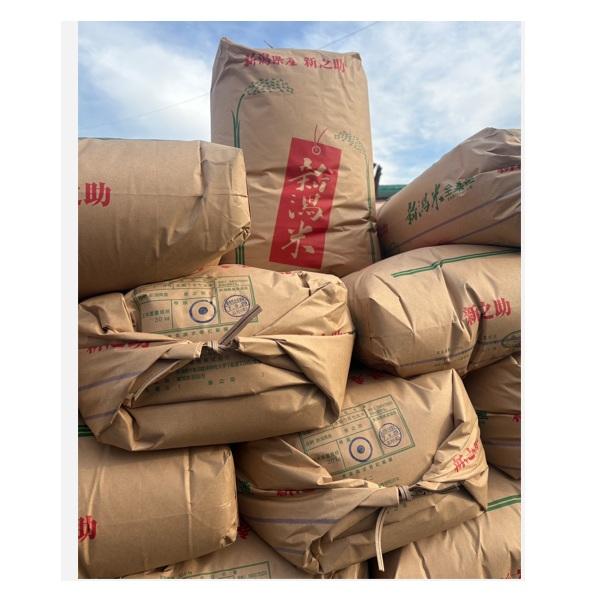 令和8年産 新潟県産 新之助 玄米30kg 令和8年産/1等/米/玄米/新米