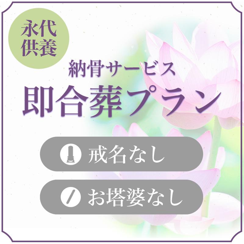 納骨サービス 即合葬 永代供養 納骨 供養 送骨 格安 安心 安い 送骨サービス 遺骨郵送 遺骨送付 送骨キット 即時埋葬 合葬 法要 合祀 お葬式 葬儀 Nkt0001 納骨先をお探しの方 通販 Yahoo ショッピング