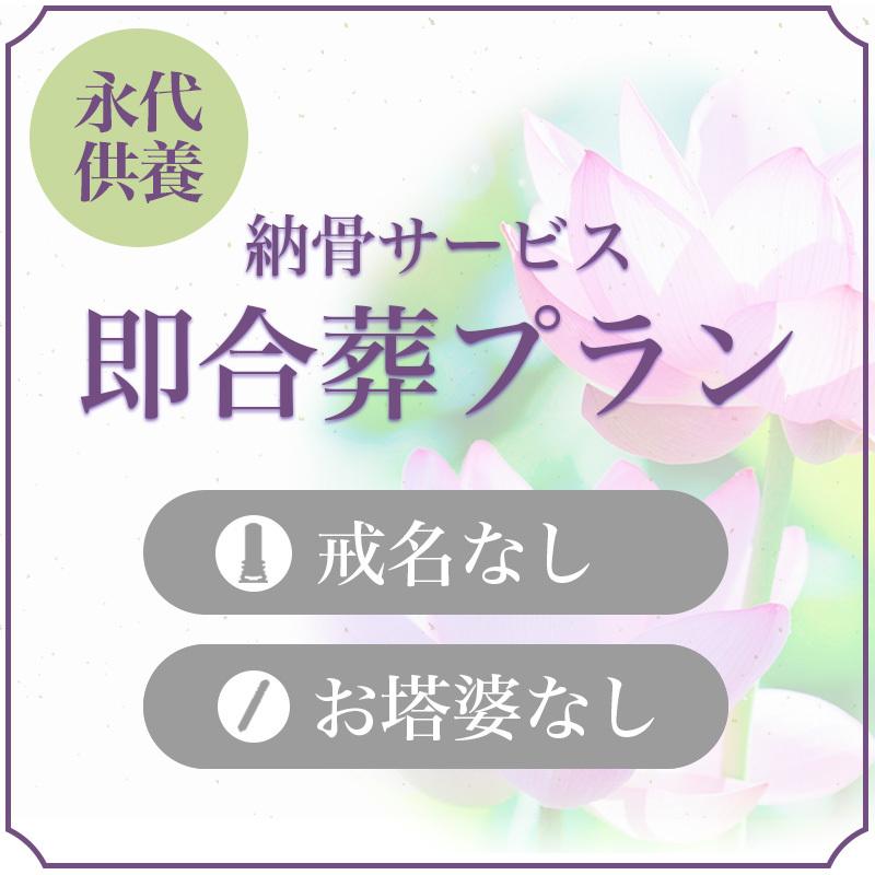 納骨サービス「即合葬・永代供養」 納骨 供養  格安 安心 安い 遺骨郵送 送骨キット 即時埋葬 合葬 法要 合祀 お葬式 葬儀｜noukotsu