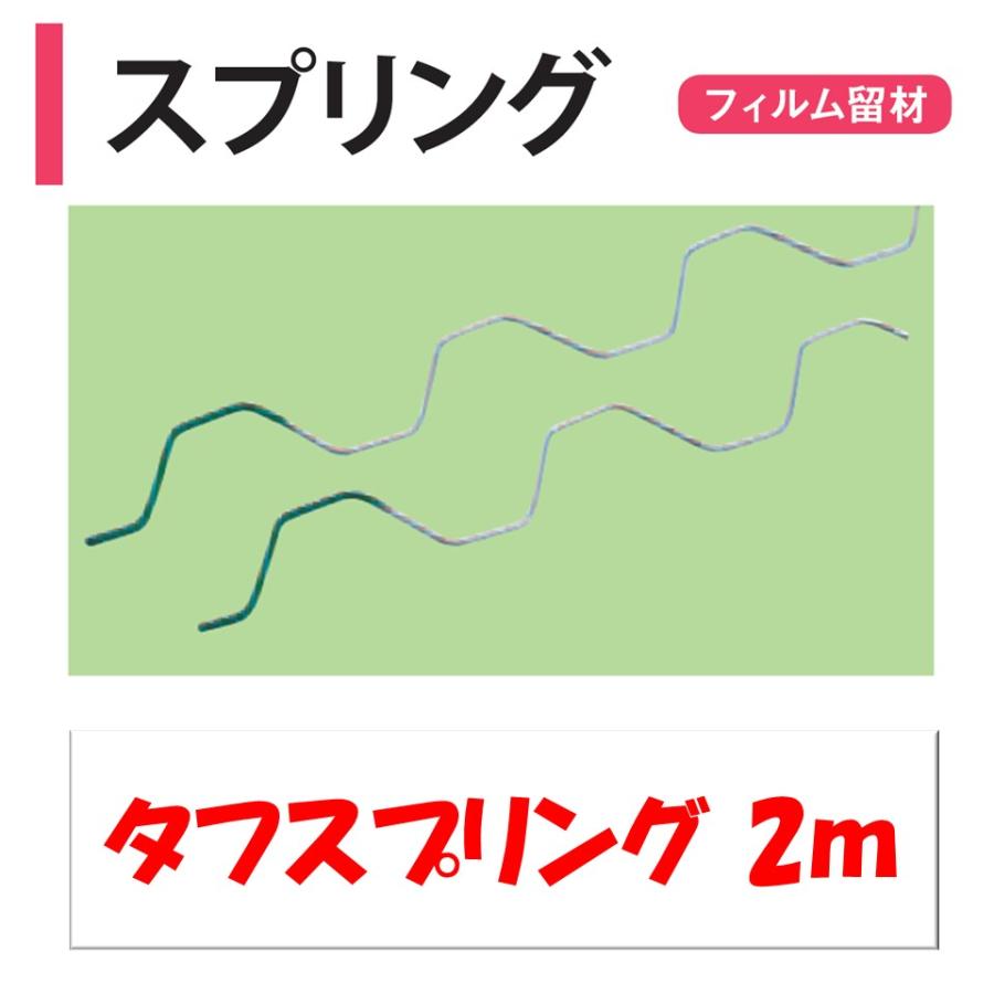 タフスプリング 2m 渡辺パイプ 農業用 ビニールハウス用 フィルム留材