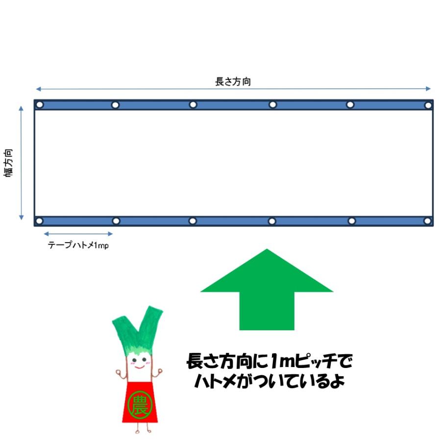 【メーカー直送品】明涼20 遮光率20％ 5.45ｍ幅 白色 メイリョウ 希望長さ(m)を数量に入力 ハトメ付 遮光 遮熱 農業用 ビニールハウス用 トマト キュウリ ナス｜noupo｜09