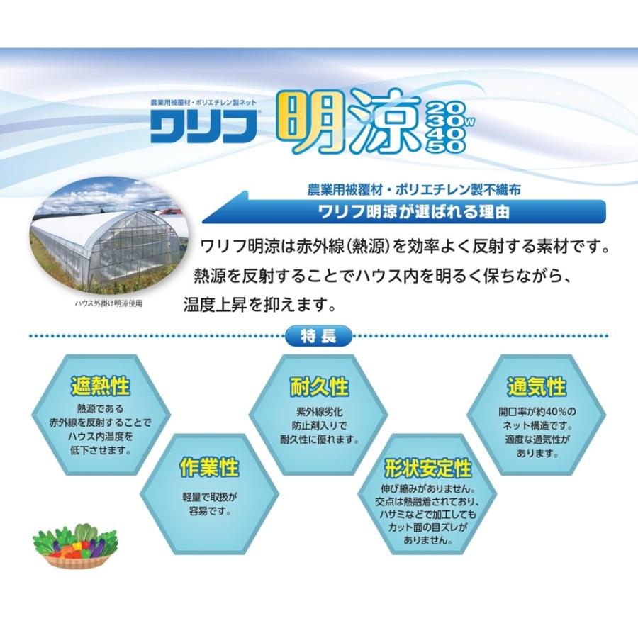 【メーカー直送品】明涼30W 遮光率30％ 6.2ｍ幅 白色 メイリョウ 希望長さ(ｍ)を数量に入力 ハトメ付 遮光 遮熱 農業用 ビニールハウス用 トマト キュウリ ナス｜noupo｜12