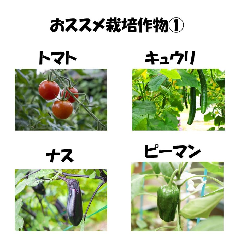 ノービエースみらい 0.1mm厚 400cm幅 希望長さ(m)を数量に入力 農ビ