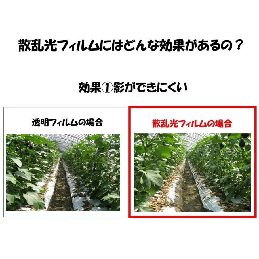 花野果Sun-X サンクロス 0.15mm厚 185cm幅 希望の長さ(m)を数量に入力
