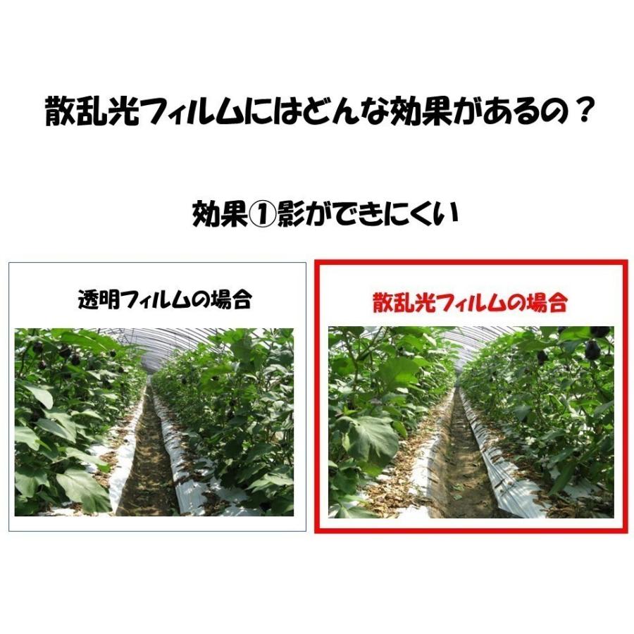 花野果Sun-X サンクロス 0.15mm厚 210cm幅 希望の長さ(m)を数量に入力