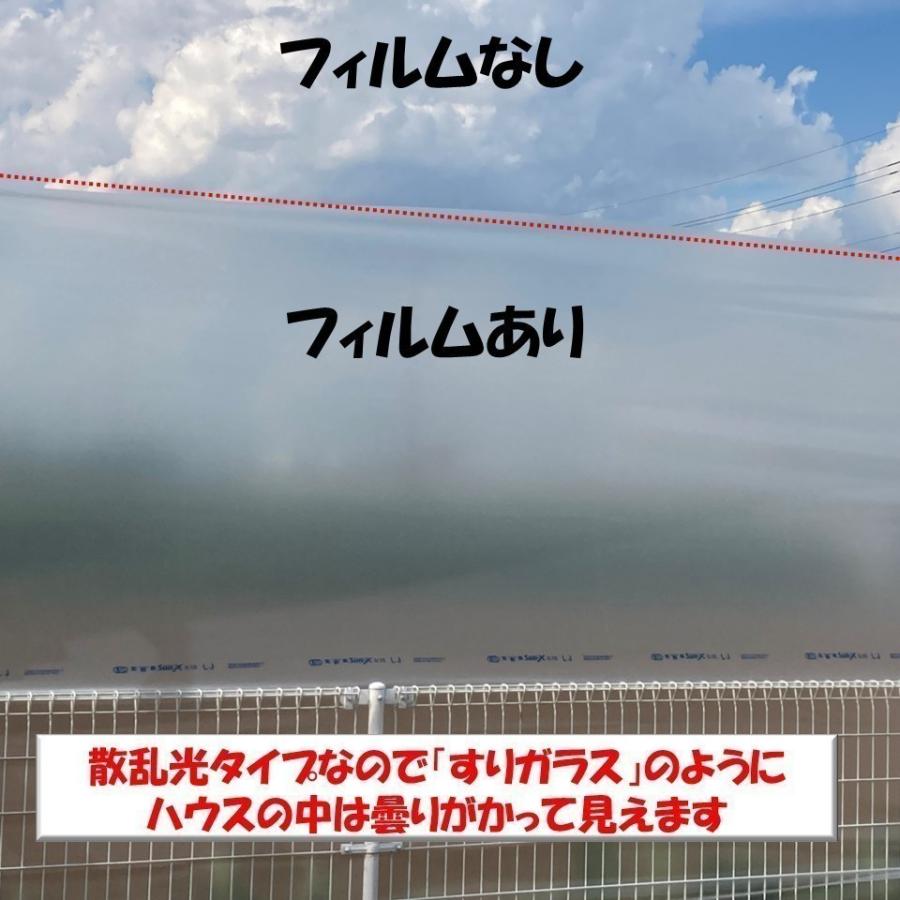 花野果Sun-X サンクロス 0.15mm厚 400cm幅 希望の長さ(m)を数量に入力