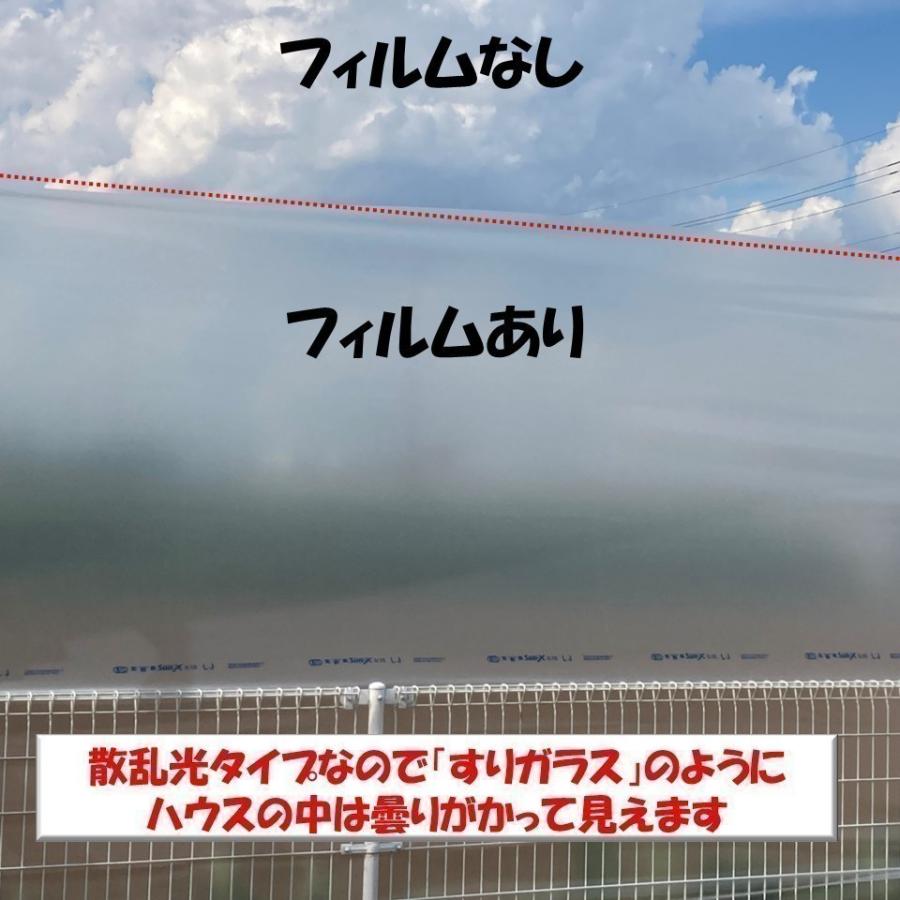 花野果Sun-X サンクロス 0.15mm厚 840cm幅 希望の長さ(m)を数量に入力