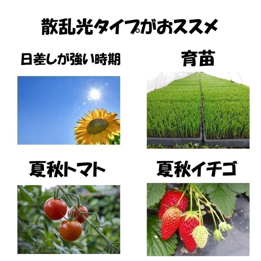 花野果Sun-X サンクロス 0.15mm厚 840cm幅 希望の長さ(m)を数量に入力