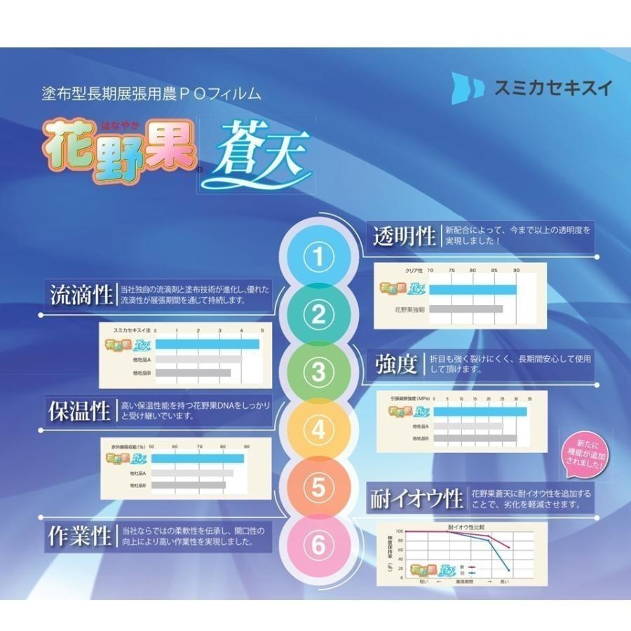花野果蒼天 ソウテン 0.15mm厚 115cm幅 2枚セット 希望の長さ(m)を