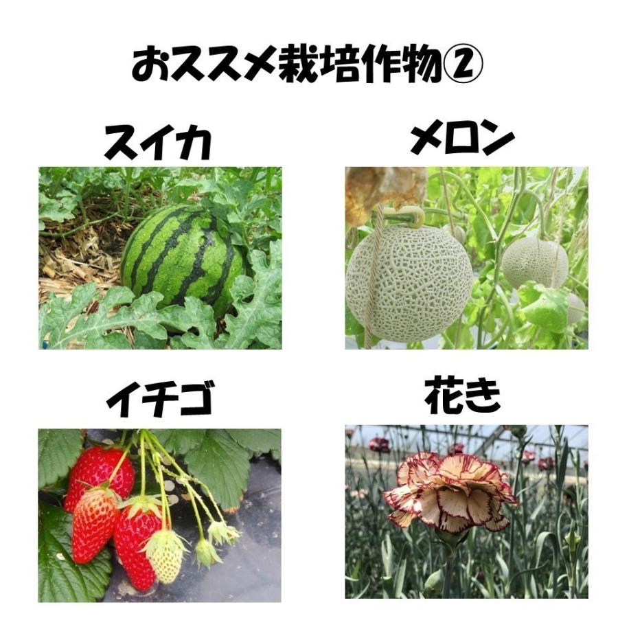 花野果蒼天 ソウテン 0.15mm厚 115cm幅 2枚セット 希望の長さ(m)を 