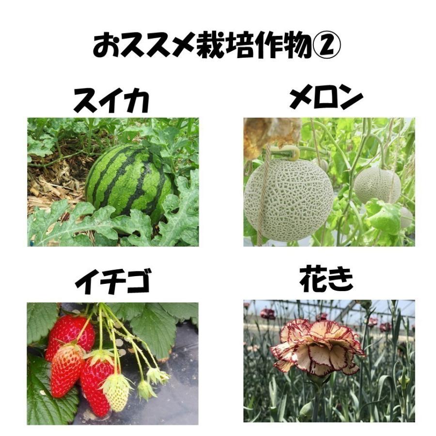 花野果蒼天 ソウテン 0.15mm厚 660cm幅 希望の長さ(m)を数量に入力