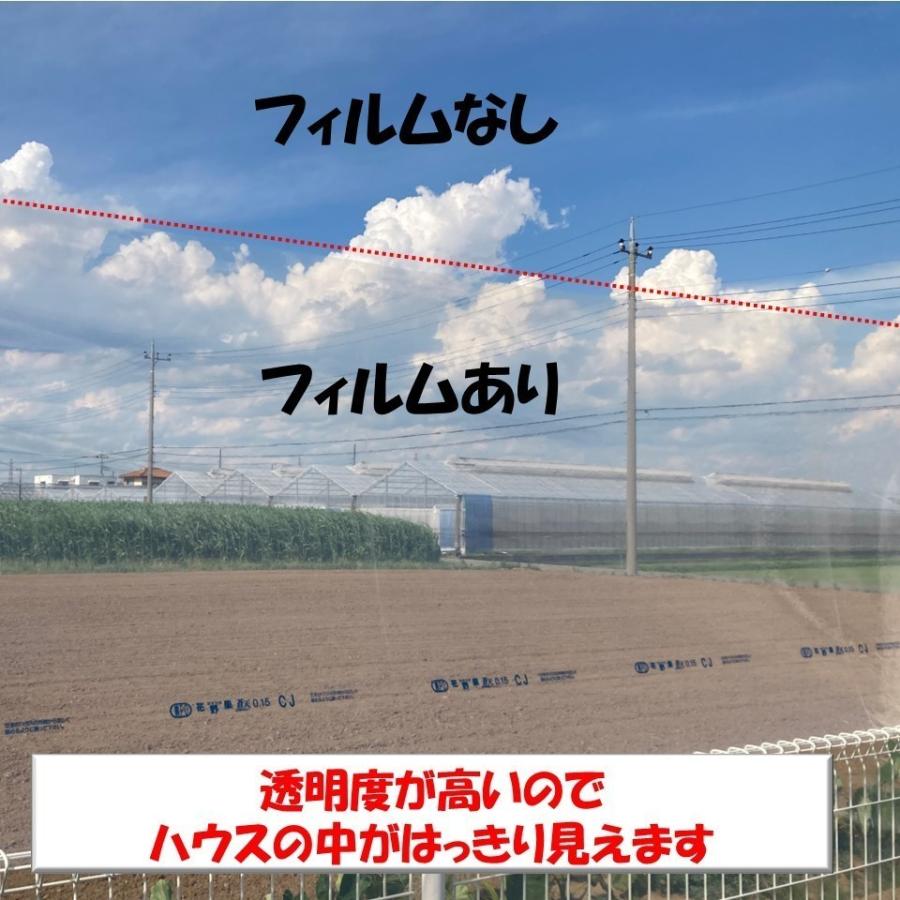 花野果蒼天 ソウテン 0.15mm厚 105cm幅 2枚セット 希望の長さ(m)を