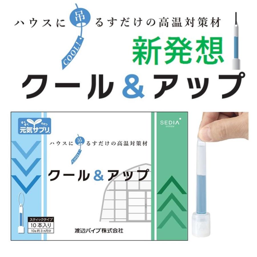 クール＆アップ 10本入 渡辺パイプ 農業用 ビニールハウス用 効果3か 