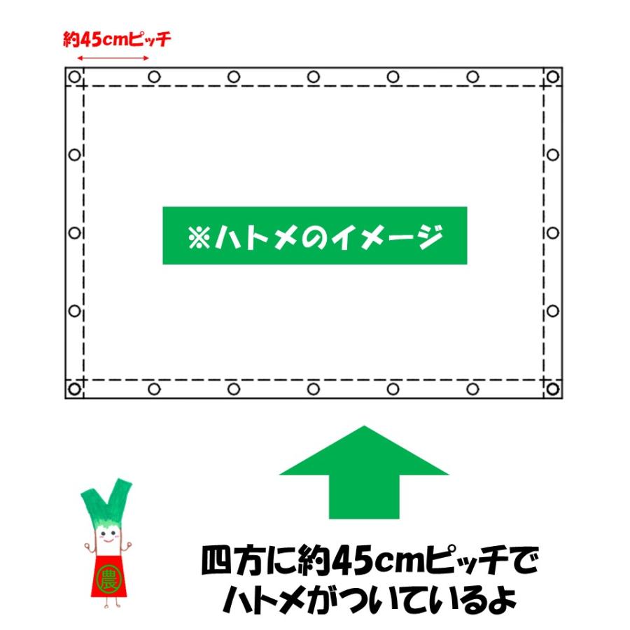 訳あり処分品 ボンガードスーパーシート 1号 1.8m×1.8m 厚み0.35mm