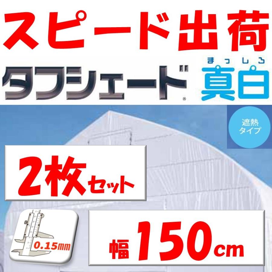 タフシェード真白 まっしろ 0.15mm厚 150cm幅 2枚セット 希望の長さ(m 