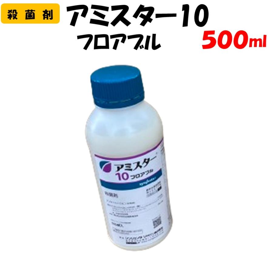 速達サービス@7980】アミスター錦(覆輪斑) 委託先より直送 アミスター