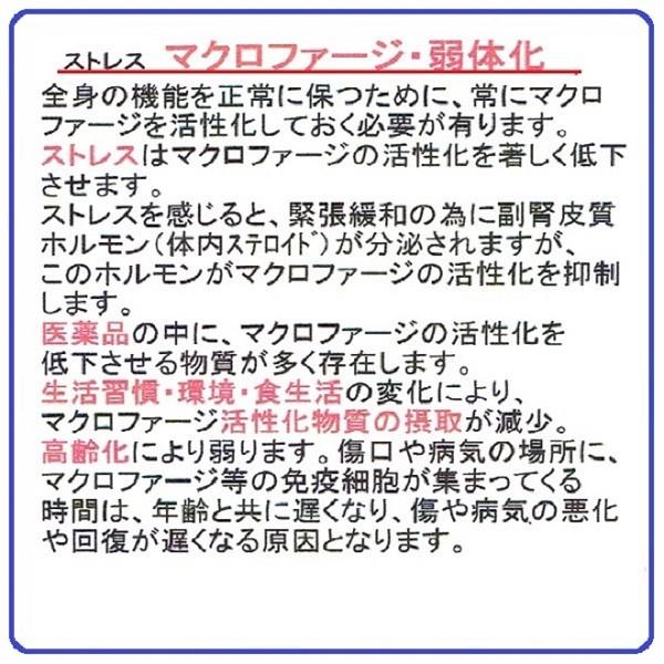 お試し用 約1カ月分 マクロF1000 mf5 60g入 パントエア菌 LPS