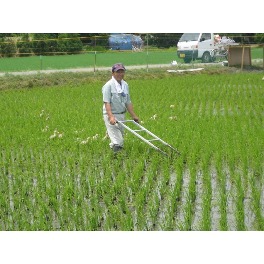 令和7年産　JAS有機あいがも栽培米（玄米）5kg【新潟県胎内市産】 | コシヒカリ | 02