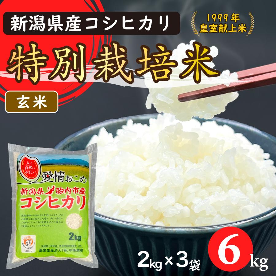 令和7年産　特別栽培米コシヒカリ（玄米）6Kg（2kgｘ3）【新潟県胎内市産】 | コシヒカリ