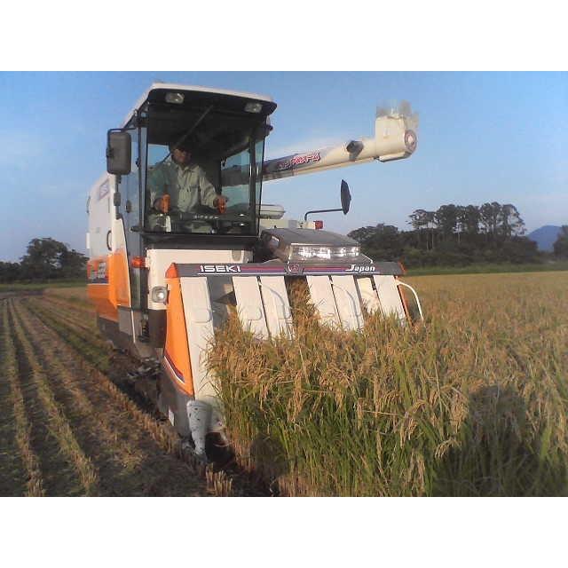 令和7年産　特別栽培米コシヒカリ（精米）6Kg（2kgｘ3）【新潟県胎内市産】 | コシヒカリ | 02