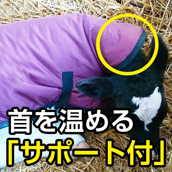 保温カーフジャケット　サーモー【M】｜nousanya｜06