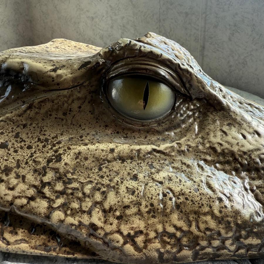 ワニの置物 Amazon.co.jp: CHEWYZ ワニのオーナメントおもちゃ、動物の置物