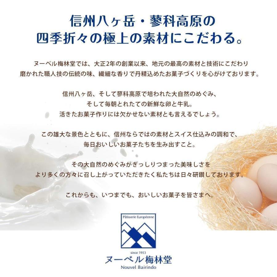 梅林堂 ヌーベル梅林堂公式 くるみやまびこ ハーフ10個入 モンド