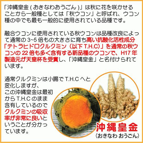 融合ウコン2本セット 酒豪伝説の黄色粒ボトルタイプ 無農薬・有機栽培 