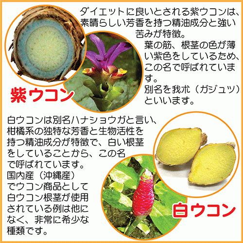 融合ウコン６本セット 無農薬 有機栽培ウコン使用 琉球大学と共同研究の春秋紫白４種ウコンが高い効果を発揮 ウコン 二日酔い お酒 酒豪伝説 Kenko Ukon06 酒豪伝説特売店コザまーけっと 通販 Yahoo ショッピング