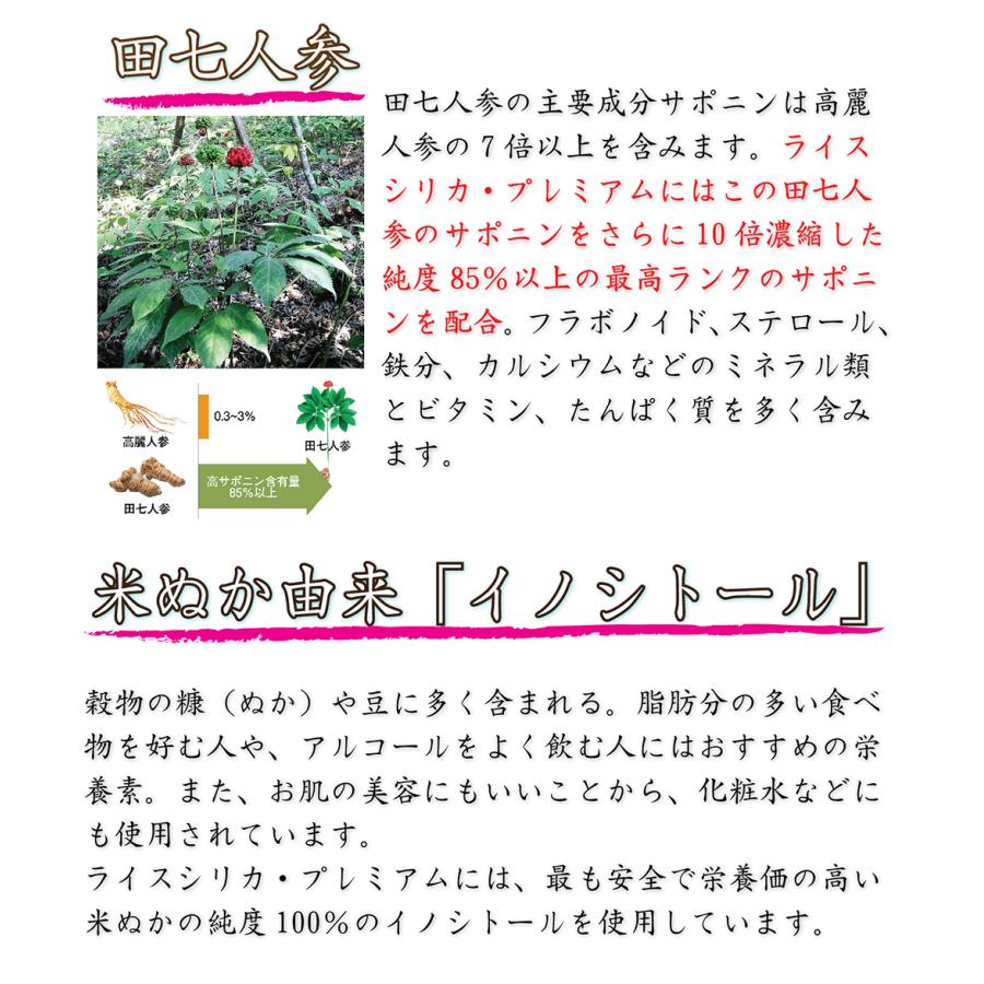 ライスシリカ 500ml シリカ水 ケイ素192mg/L 濃縮液 送料無料 シリカ